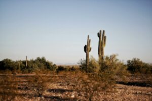 A photo of a desert in Arizona