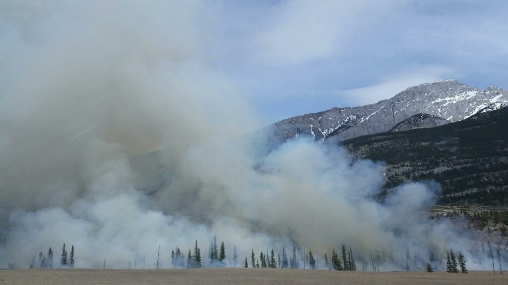 smoke from a wild fire